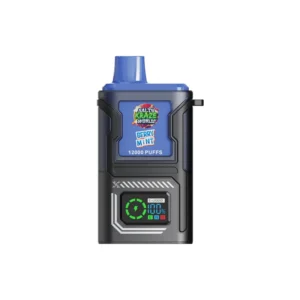 Berry Mint -Salty MEGA BOX Disposable Vape